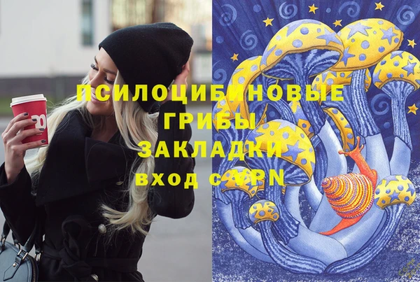 стафф Баксан